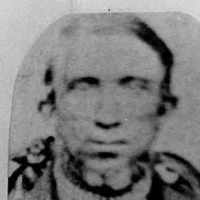 William Harwell Adamson (1817 - 1873) Profile